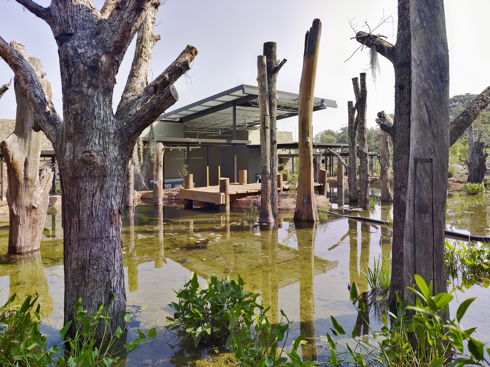 Go Fish Visitor's Center & Fish Hatchery Juneau Construction Company